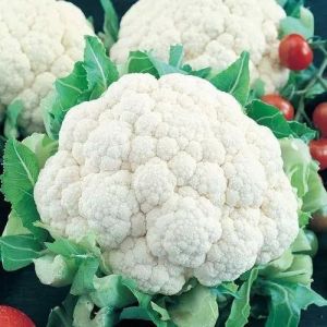Fresh Cauliflower