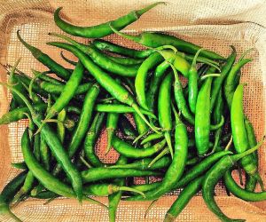 Fresh Green Chilli