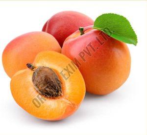 A Grade Fresh Apricot Fruit