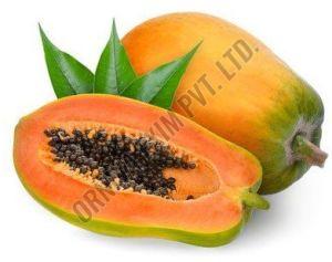 A Grade Fresh Papaya