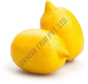 A Grade Fresh Yellow Lemon
