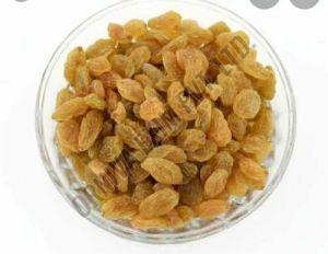 A Grade Golden Dried Raisin