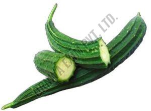 A Grade Green Fresh Ridge Gourd