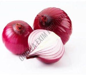 A Grade Red Onion