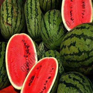 A Grade Seedless Watermelon