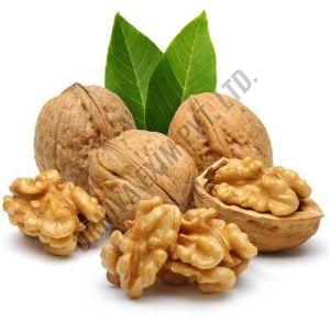 A Grade Shelled Walnut Kernels