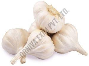 A Grade White Fresh Garlic