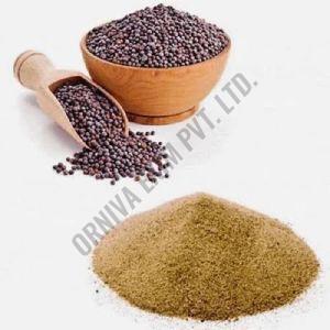 Black Mustard Seed Powder