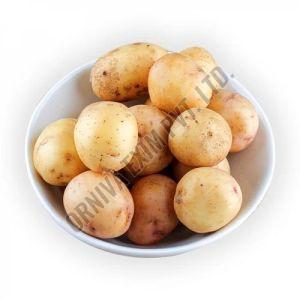 Brown A Grade Fresh Baby Potato