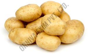 Brown A Grade Fresh New Potato