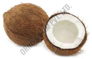 Brown Fresh Coconut