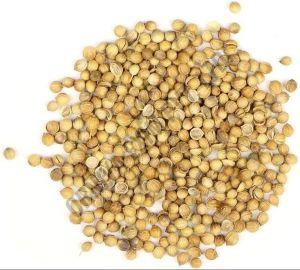 Crushed Coriander Seeds