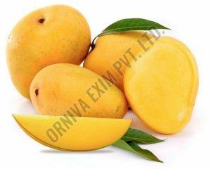 Fresh Banganapalli Mango