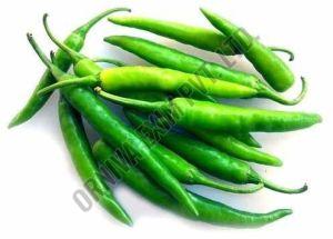 Fresh Green Chilli