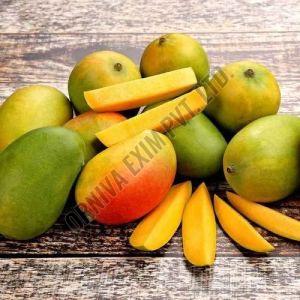 Fresh Kesar Mango