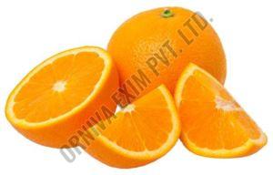 Fresh Malta Orange