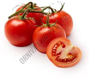 Fresh Red Tomato