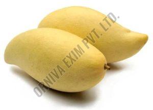 Fresh Totapuri Mango