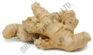 Organic Fresh Ginger