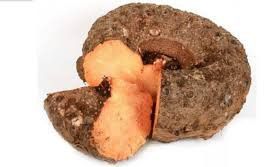 Fresh Elephant Foot Yam