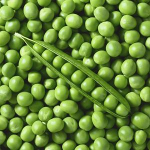 Fresh Green Peas