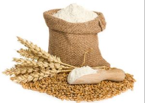 High Quality Wheat Flour