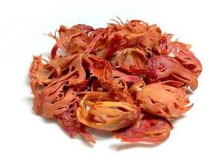 Mace Javitri