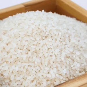 Non Basmati Rice