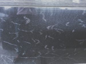 Polished Fish Black Granite Slab