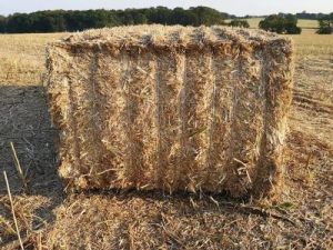 Customizable Wheat Straw Bale