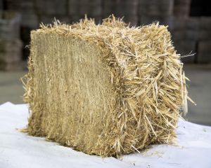 100kg Wheat Straw Bale