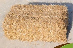 150kg Wheat Straw Bale