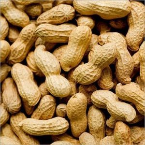 Shelled Groundnuts