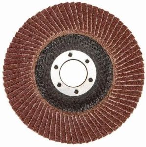Round Flap Disc