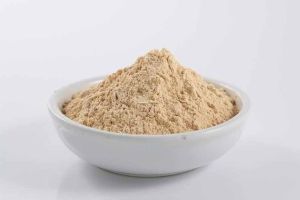 Dehydrated Garlic Powder