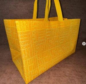 Multicolor Loop Handle Non Woven Bag
