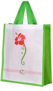 Printed Loop Handle Non Woven Bag