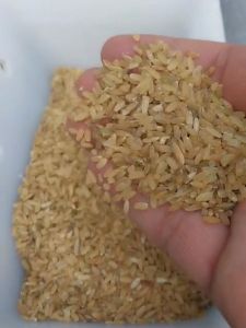 Rejected Rice
