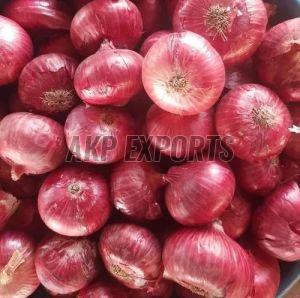 Export Quality Fresh Red Onion