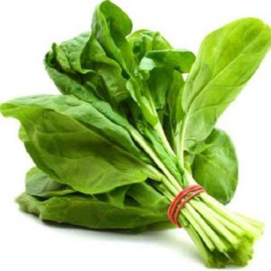 Fresh Green Spinach