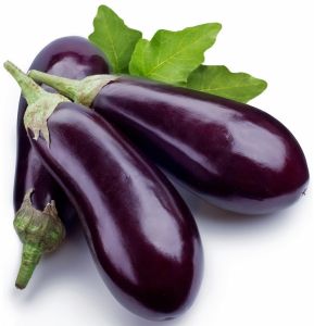 Fresh Long Brinjal