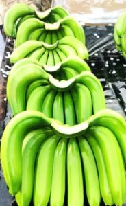 A Grade Fresh Green Banana
