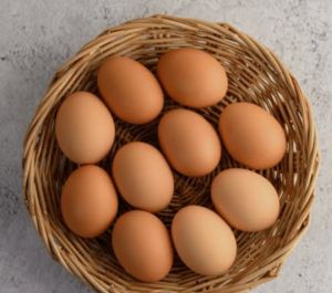 Farm Brown Egg