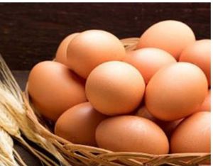 Fresh Brown Egg