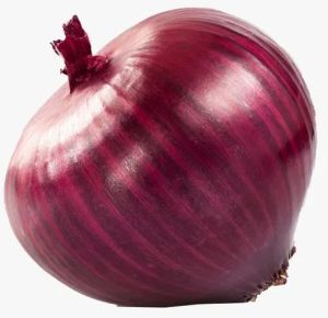 40mm Fresh Red Onion