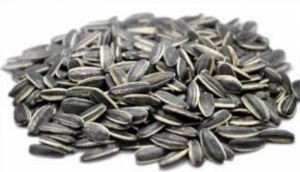 Edible Sunflower Seeds