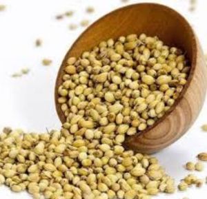 Natural Coriander Seeds