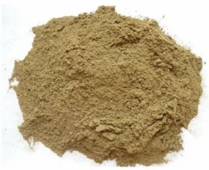 Protein Rich Fish Meal