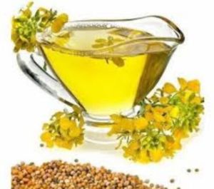 Refined Canola Oil