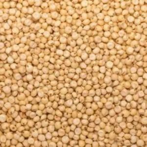 Whole Sorghum Seeds